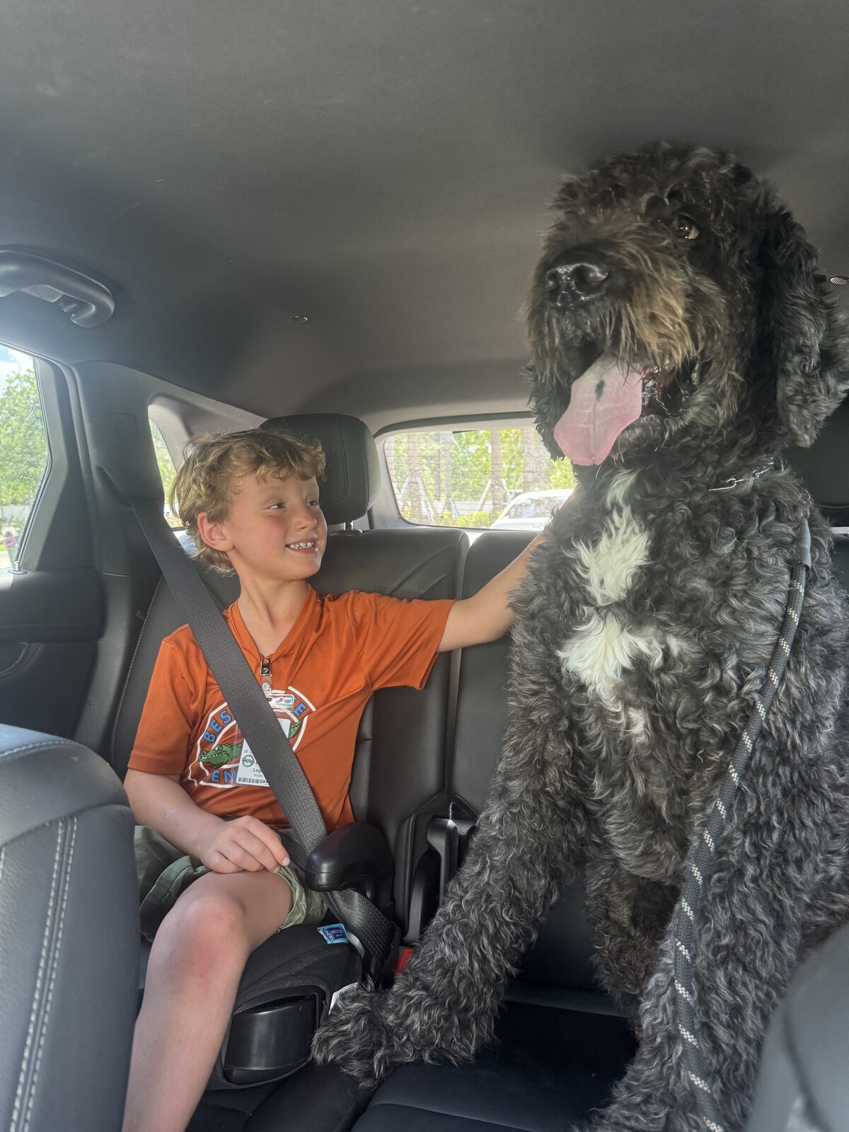 Logan smiling at the family dog in the car